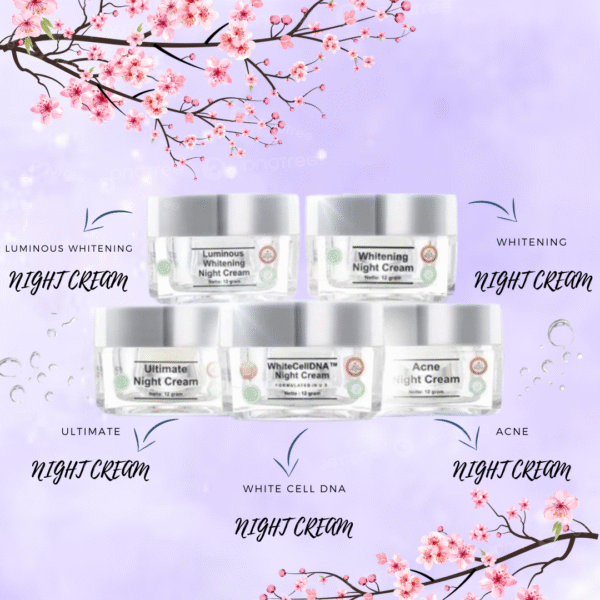 MS Glow Night Cream